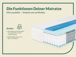 fan Taschenfederkernmatratze »Sleep Spring Pro, Boxspringmatratze m. Thermogelauflage, 90x200 & mehr« 33 cm hoch 1-tlg., 1 Stk. tlg. Haus & Garten Test 
