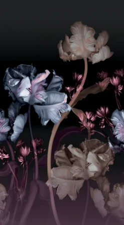 Fashion for walls Fototapete »Vanda« floral glatt Phthalate frei