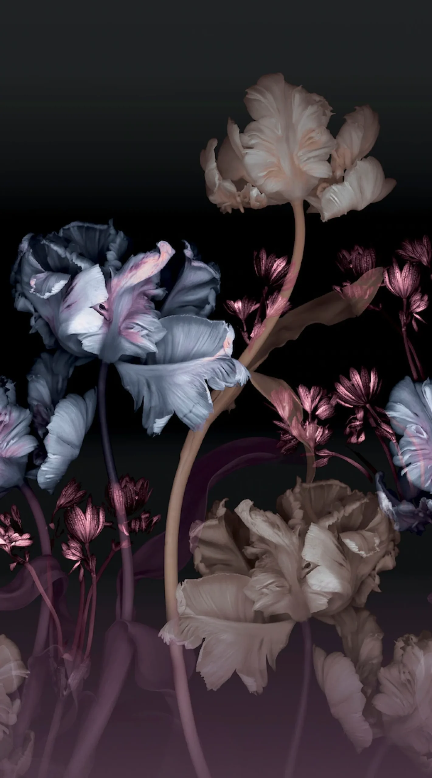 Fashion for walls Fototapete »Vanda« floral glatt Phthalate frei