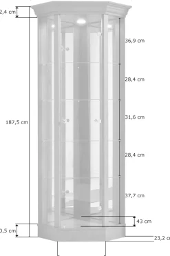fif möbel Vitrine »TRIO« Eckvitrine/Glasvitrine 1x Glastür, perfekt für Sammler, Sammlervitrine
