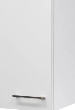 Flex-Well Hängeschrank »Kopenhagen« (B x H x T) 30 x 54,8 x 32 cm