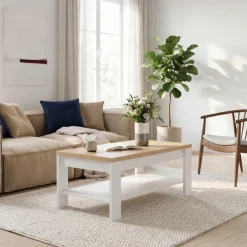 FORTE Couchtisch »Coffee Table, Ablagefäche, zweifarbiges Dekor« B/H/T 100/45,7/60 cm Ablageboden