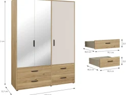 FORTE Drehtürenschrank »Schrank mit Spiegel, zeitloses Design, 3türig« viel Stauraum, Schubladen, Spiegeltürenm Höhe 200 cm