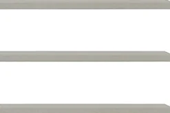 FORTE Einlegeboden Einlegeböden 2,2 cm Stärke, optional bestellbar, 3er Set