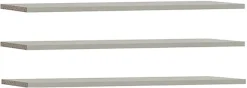 FORTE Einlegeboden Einlegeböden 2,2 cm Stärke, optional bestellbar, 3er Set