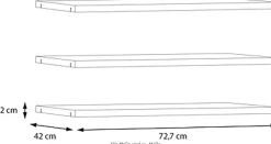 FORTE Einlegeboden Einlegeböden 2,2 cm Stärke, optional bestellbar, 3er Set