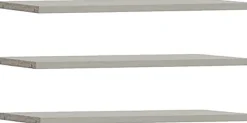 FORTE Einlegeboden Einlegeböden 2,2 cm Stärke, optional bestellbar, 3er Set