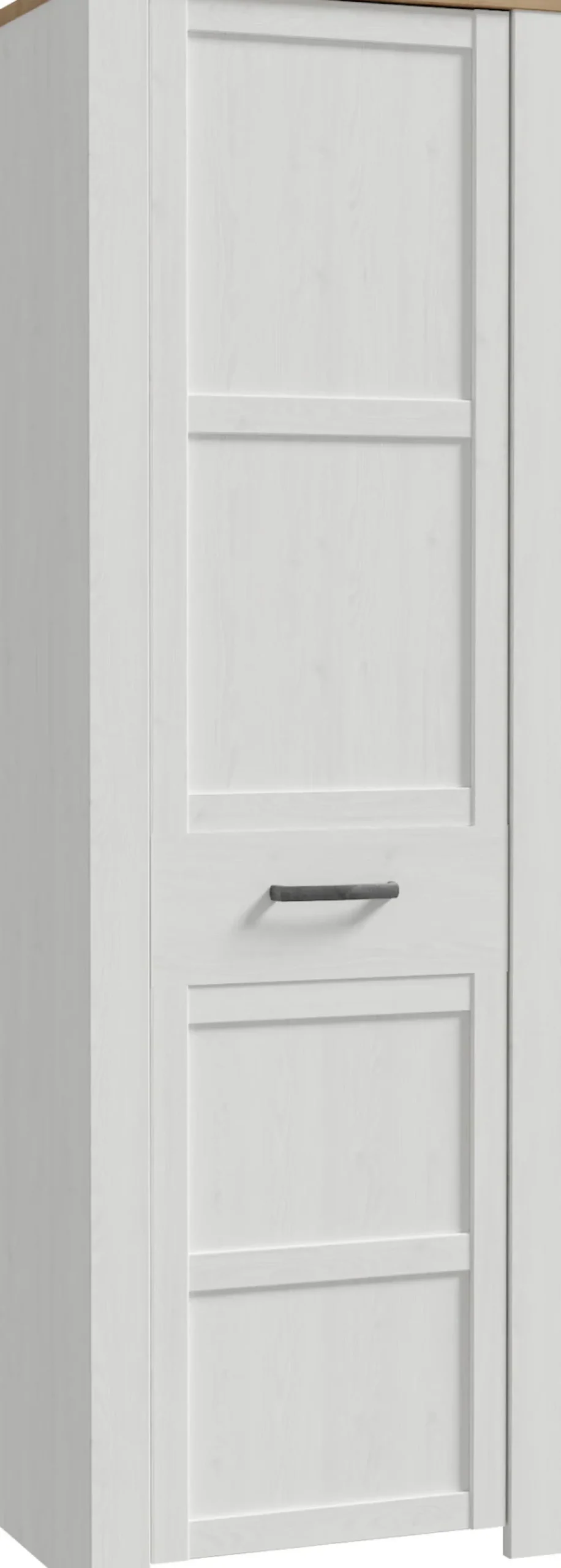 FORTE Garderobenschrank »Garderobenschrank, Höhe 205,4cm, Soft Close, ausziehbare Kleiderstange« B/H/T 66,7/205,4/42 cm