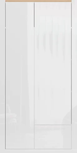 FORTE Kleiderschrank »grifflos, Push to Open, Front glänzend« B/H/T 96,4/192,2/59,7 cm inklusive Beleuchtung