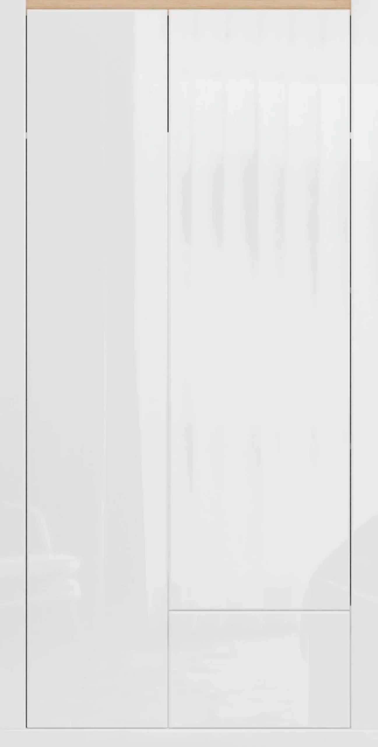 FORTE Kleiderschrank »grifflos, Push to Open, Front glänzend« B/H/T 96,4/192,2/59,7 cm inklusive Beleuchtung