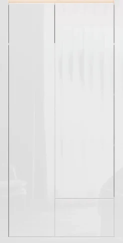 FORTE Kleiderschrank »grifflos, Push to Open, Front glänzend« B/H/T 96,4/192,2/59,7 cm inklusive Beleuchtung