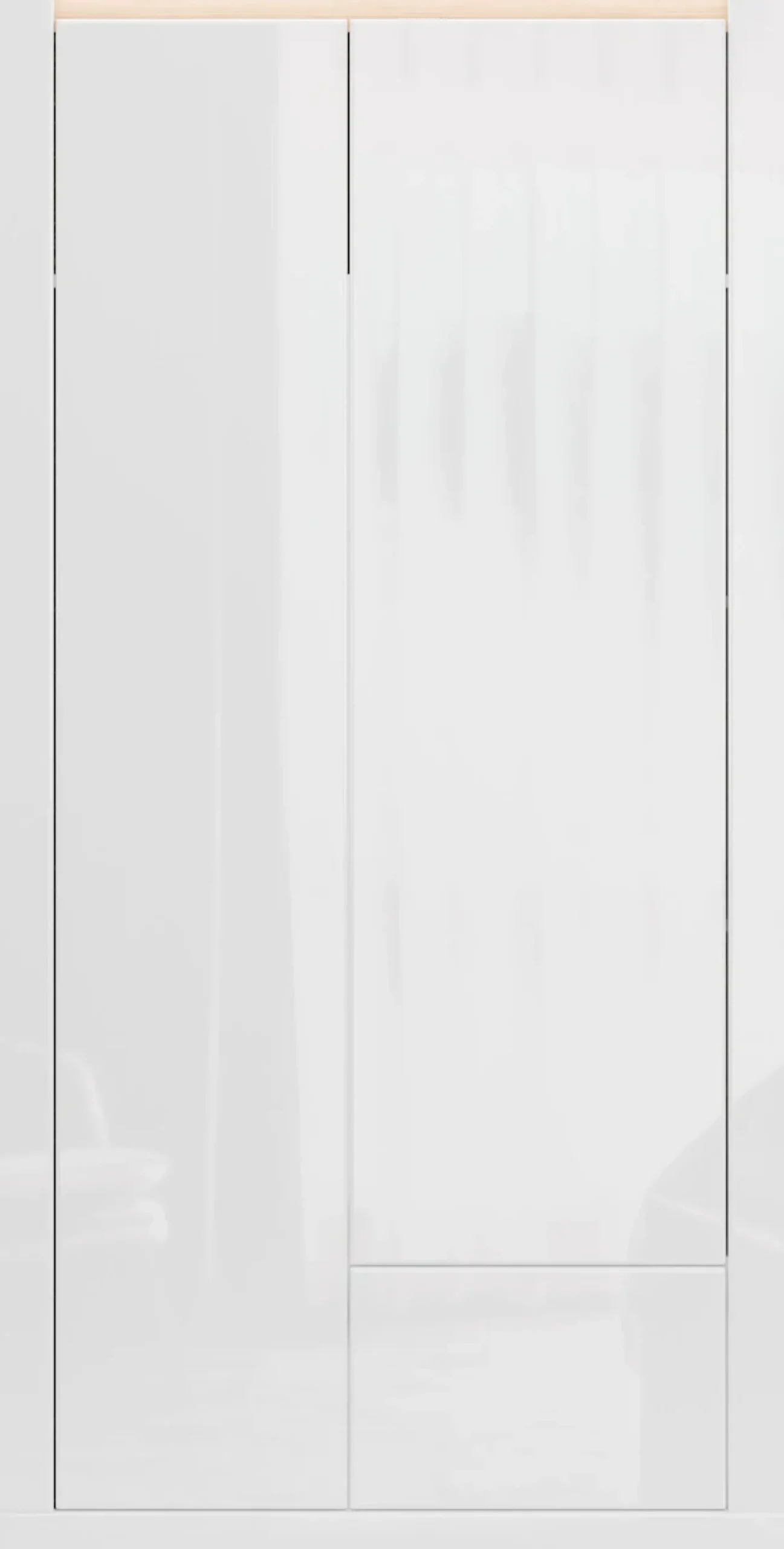 FORTE Kleiderschrank »grifflos, Push to Open, Front glänzend« B/H/T 96,4/192,2/59,7 cm inklusive Beleuchtung