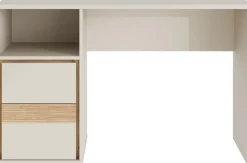 FORTE Schreibtisch B/H/T 119,7/75,7/50,2