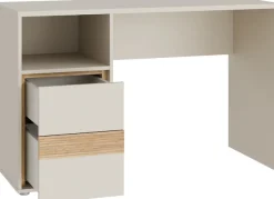 FORTE Schreibtisch B/H/T 119,7/75,7/50,2