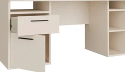 FORTE Schreibtisch »Tezaur« mit Schubkasten und Tür, B/H/T 160/75,7/72 cm