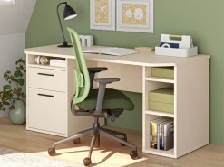 FORTE Schreibtisch »Tezaur« mit Schubkasten und Tür, B/H/T 160/75,7/72 cm