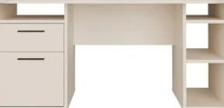 FORTE Schreibtisch »Tezaur« mit Schubkasten und Tür, B/H/T 160/75,7/72 cm