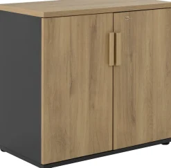 Gami Drehtürenschrank »ITALIC« Praktisch und funktional für mehr Ordnung im Büro.