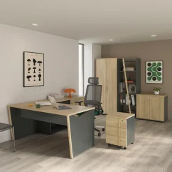 Gami Drehtürenschrank »ITALIC« Praktisch und funktional für mehr Ordnung im Büro.