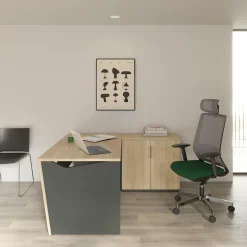 Gami Drehtürenschrank »ITALIC« Praktisch und funktional für mehr Ordnung im Büro.