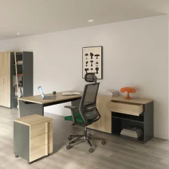 Gami Lowboard »ITALIC« Elegante Credenza, freistehend oder als Schreibtischrücklauf nutzbar