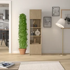 Gami Vitrine »Vitrine Iris mit 1 Tür« Funktionale Vitrine mit Glastür