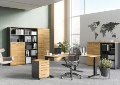 GERMANIA Aktenschrank »GW-Agenda« opt. mit Schublade, Maße 80x120 cm, Made in Germany