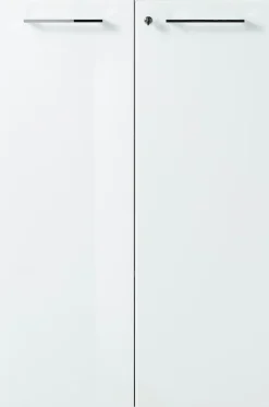 GERMANIA Aktenschrank »GW-Monteria« in 2 Höhen,Türen mit Glas-Auflage, abschließbar, Breite 80 cm, Made in Germany