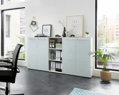 GERMANIA Aktenschrank »GW-Monteria« in 2 Höhen,Türen mit Glas-Auflage, abschließbar, Breite 80 cm, Made in Germany