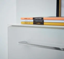 GERMANIA Aktenschrank »GW-Monteria« in 2 Höhen,Türen mit Glas-Auflage, abschließbar, Breite 80 cm, Made in Germany