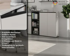 GERMANIA Aktenschrank »Lemont« 2-türiger Mehrzweckschrank wahlweise mit Schublade