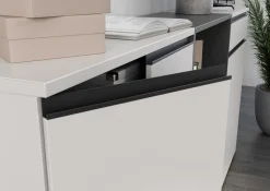 GERMANIA Aktenschrank »Lemont« 2-türiger Mehrzweckschrank wahlweise mit Schublade