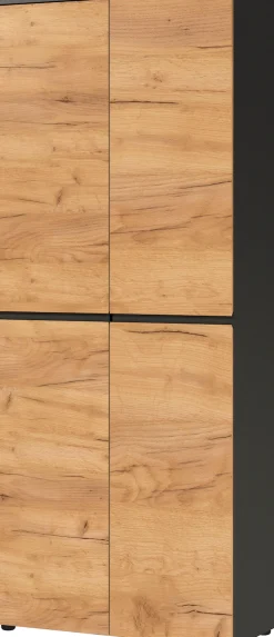 GERMANIA Aktenschrank »Lissabon« 1 Stk. tlg. mit verstellbaren Einlegeböden und grifflosem Design