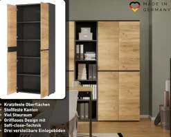 GERMANIA Aktenschrank »Lissabon« 1 Stk. tlg. mit verstellbaren Einlegeböden und grifflosem Design