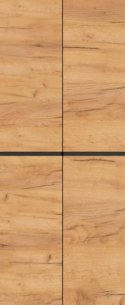 GERMANIA Aktenschrank »Lissabon« 1 Stk. tlg. mit verstellbaren Einlegeböden und grifflosem Design