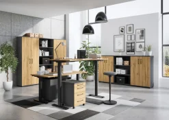 GERMANIA Büromöbel-Set »Profi 3.0« Büromöbel-Set bestehend aus Schreibtisch und Rollcontainer