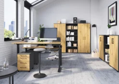 GERMANIA Büromöbel-Set »Profi 3.0« Büromöbel-Set bestehend aus Schreibtisch und Rollcontainer