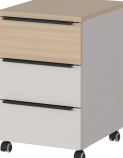 GERMANIA Rollcontainer 1 Stk. tlg. mit Schubladendämpfung