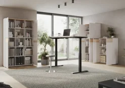 GERMANIA Schreibtisch »GW-Oviedo« 1 Stk. tlg. Bedieneinheit mit Memory-Funktion und USB-Port