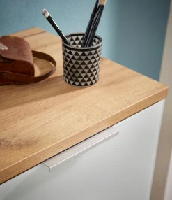 GERMANIA Schuhschrank »Telde« Breite 89 cm, Soft-close, verstellbare Böden, ES-Glas, Made in Germany