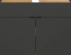 GERMANIA Waschbeckenunterschrank »Ameca« Waschbeckenunterschrank mit einer Klappe und zwei Türen