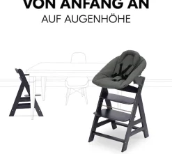 Hauck Hochstuhl »Alpha Newborn Set Plus, Dark Grey« () mit Newborn Aufsatz