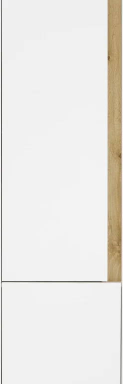 Home affaire Aktenschrank »CiTY/GiRON« Stauraumschrank zeitlos modern, wohnliches Home Office, Breite 50 cm