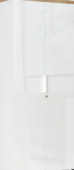 Home affaire Aktenschrank »Easy B/H 81/193 cm, Büroschrank, Mehrzweckschrank mit 2 Türen« abschließbar, 4 Böden, Metallgriffe, Top 38 mm stark
