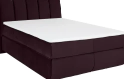 Home affaire Boxspringbett »Océane« Bodenfrei- wirkt freischwebend, verschiedene Härtegrade (auch H4)