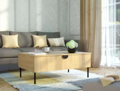 Home affaire Couchtisch »BELLOT Kaffeetisch mit viel Stauraum, 100x66cm, modernes Design« Beistelltisch mit zusätzlichen Aufbewahrungsschränken, goldene Akzente