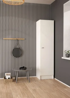 Home affaire Drehtürenschrank »Focus, Kleiderschrank, Stauraum« 1 Tür, 4 Einlegeböden, schmal, vielseitig einsetzbar, Breite49 cm