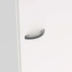 Home affaire Drehtürenschrank »Focus, Kleiderschrank, Stauraum« 1 Tür, 4 Einlegeböden, schmal, vielseitig einsetzbar, Breite49 cm