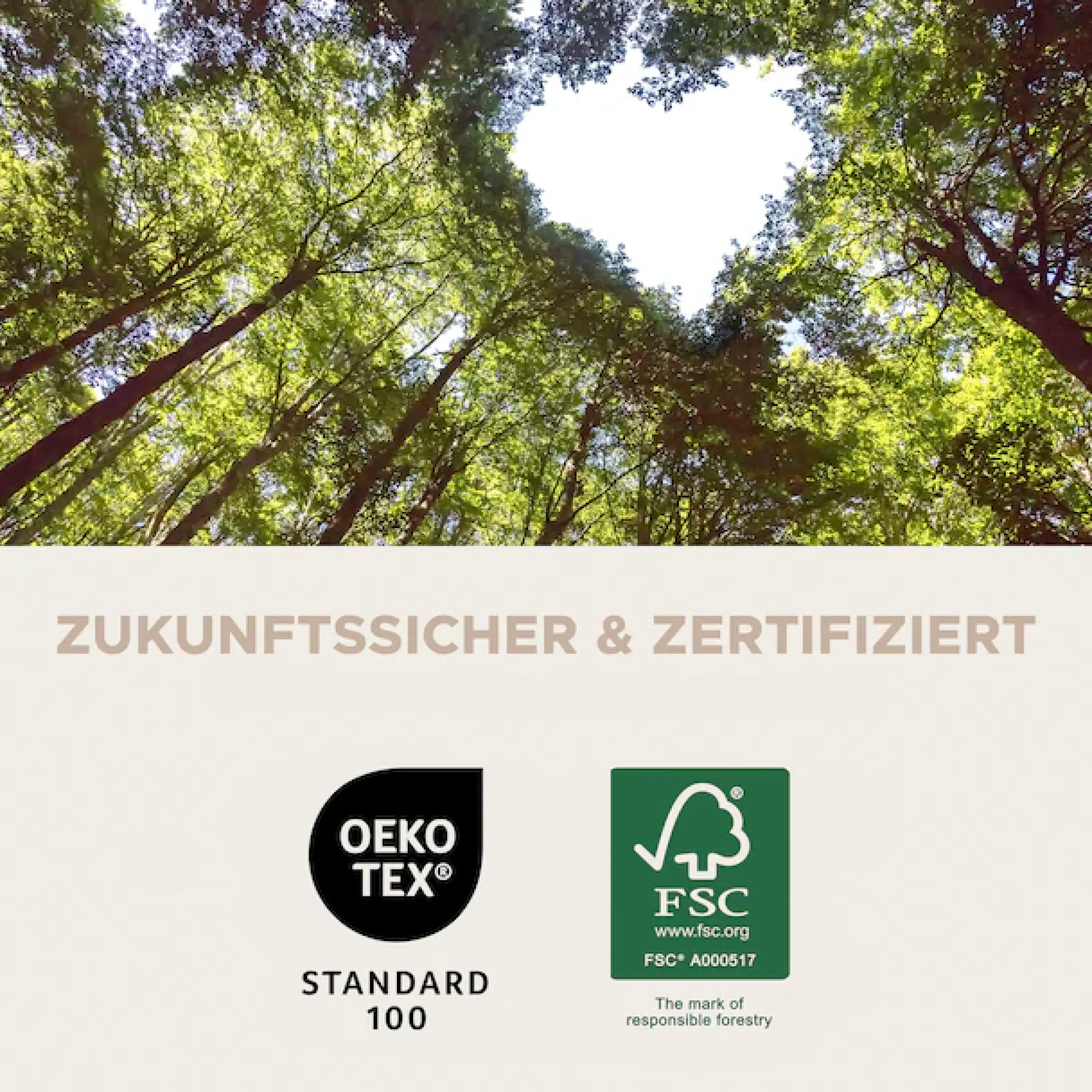 Home affaire Esszimmerstuhl »SARNIA, 2er Set, mit Metallgestell in matt schwarz« (Set) 2 Stk.in verschiedenen Farben, Belsatbarkeit pro Stuhl 120 kg
