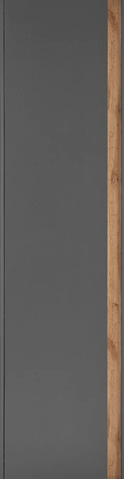 Home affaire Garderobenschrank »GiRON/CiTY, moderner Schrank, Schuhschrank mit Stauraum« 10 Fächer, modernes Design, Tür beidseitig montierbar, 50 cm breit